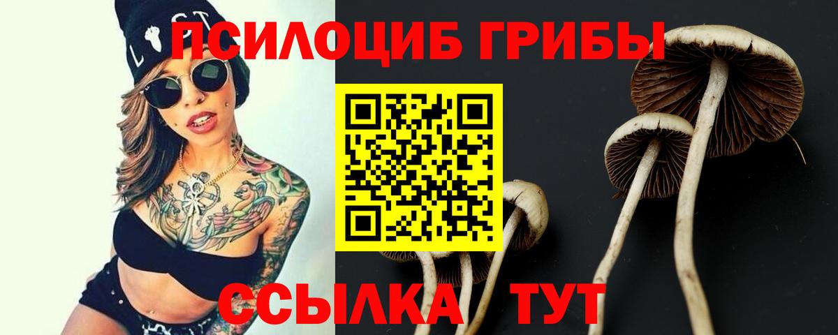 Псилоцибиновые грибы GOLDEN TEACHER  Вход с VPN  Обнинск 